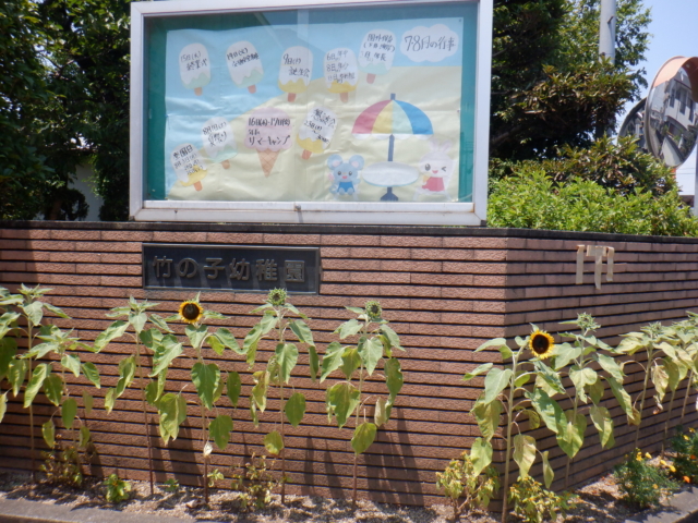 暑中お見舞い申し上げます
